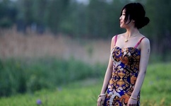 霸王硬上弓是什么意思